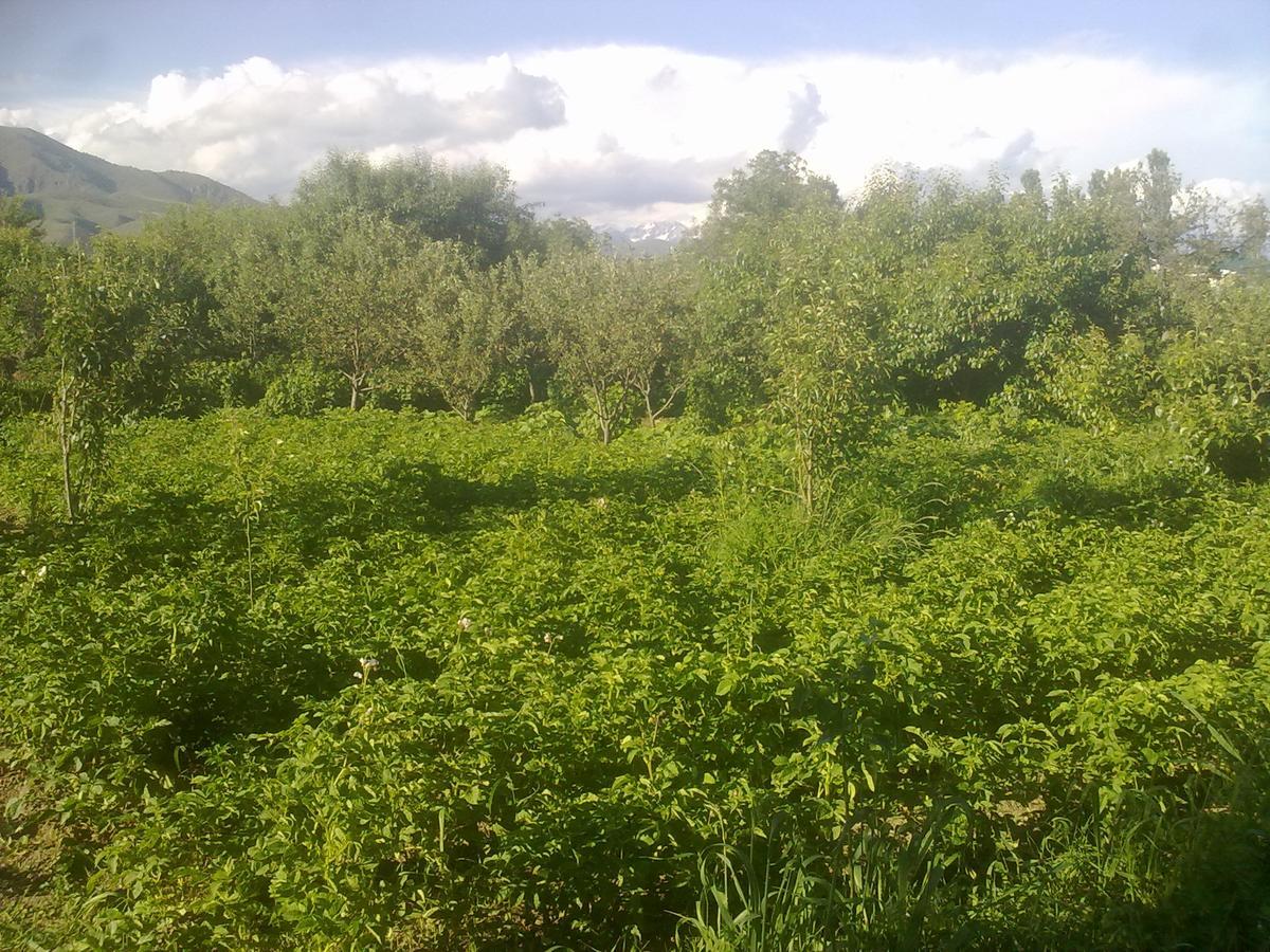 Hotel Issyk-Kul - Camping Grigoryevka Grigor'yevka Esterno foto
