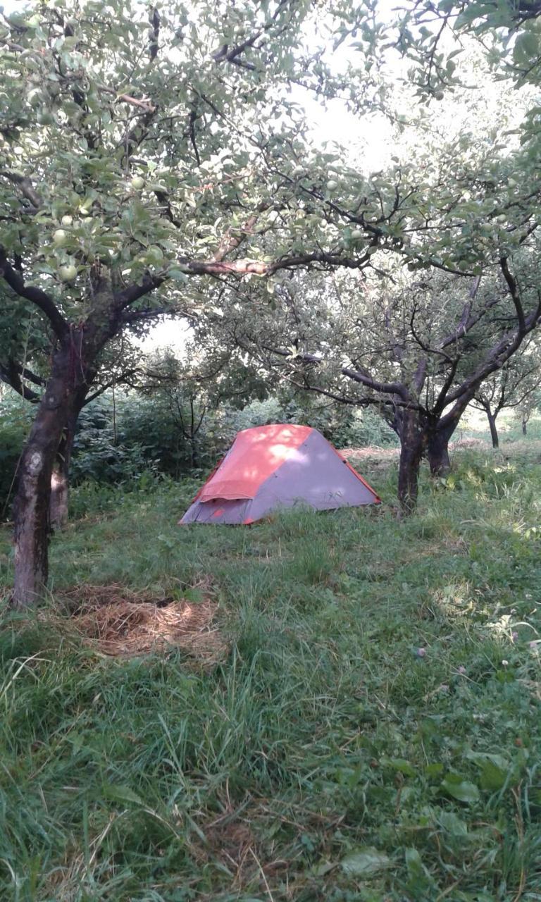 Hotel Issyk-Kul - Camping Grigoryevka Grigor'yevka Esterno foto